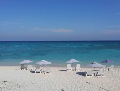 中小企業が元気な島